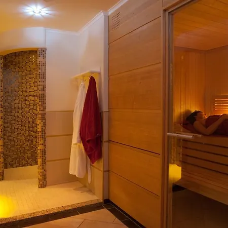 ホテル Parkhotel Am Taunus オーバーウルゼル