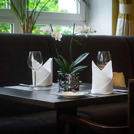 Parkhotel Am Taunus ホテル 4*