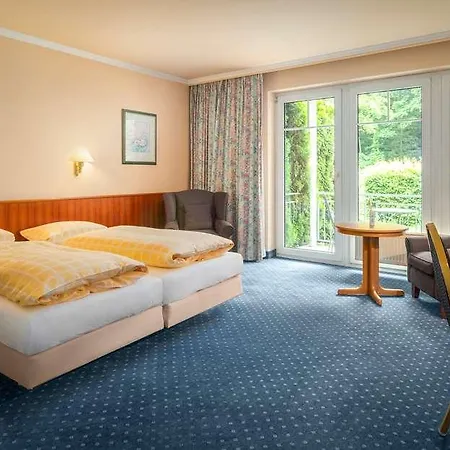ホテル Parkhotel Am Taunus 4*