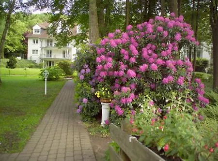 Parkhotel Am Taunus 4*