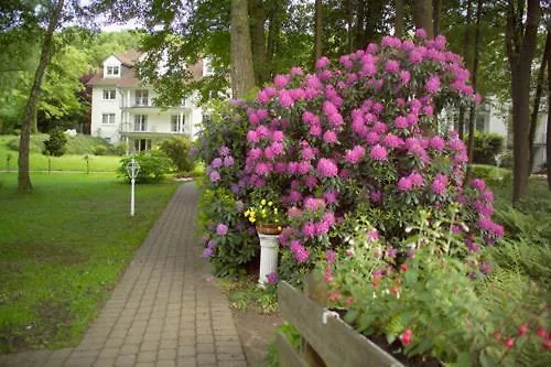 Parkhotel Am Taunus 4*